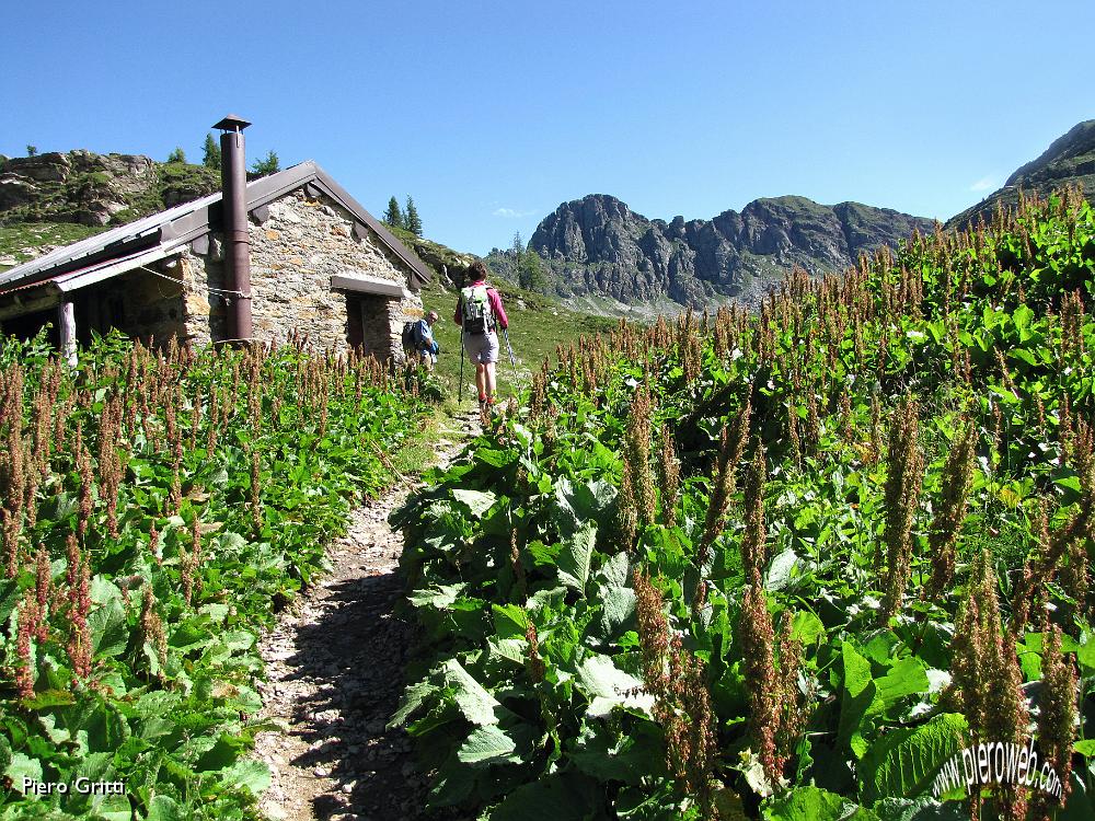 14 Passaggio alla baita.jpg